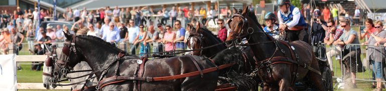 Bram Chardon 2018